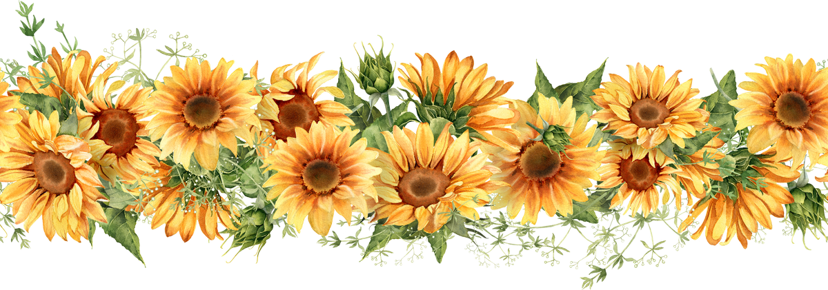 Sunflower repeating border